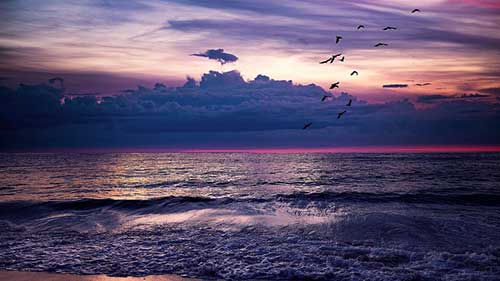 招聘市場專員文案