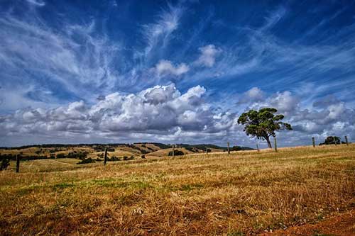 作文課宣傳文案