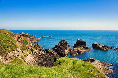 我與神明畫押搞笑文案