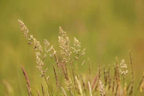 眼鏡店招聘文案