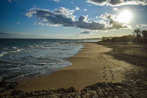關(guān)于學(xué)生的文案句子