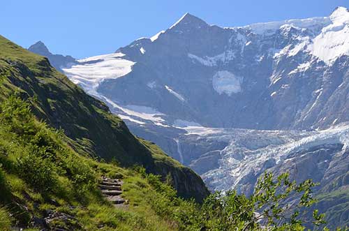 贊美蔡徐坤的文案