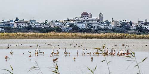 關(guān)于少年文案