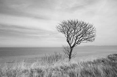 別人家的孩子文案