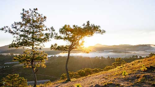 好聽的文案愛情