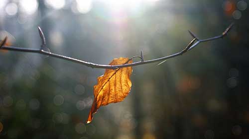 溫柔極致的文案短句