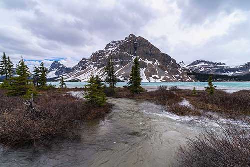 閨蜜生日文案搞笑