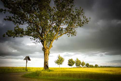 媽媽和女兒文案