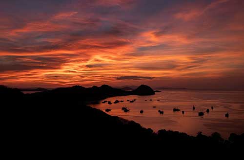 心情美好的一天文案