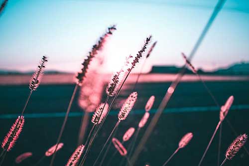 八個字的文案唯美