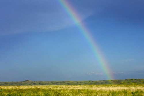 維密瘦身宣傳文案