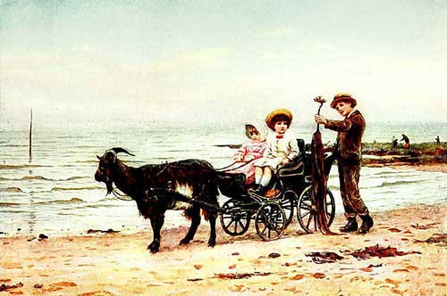 廚衛(wèi)電器活動(dòng)宣傳文案